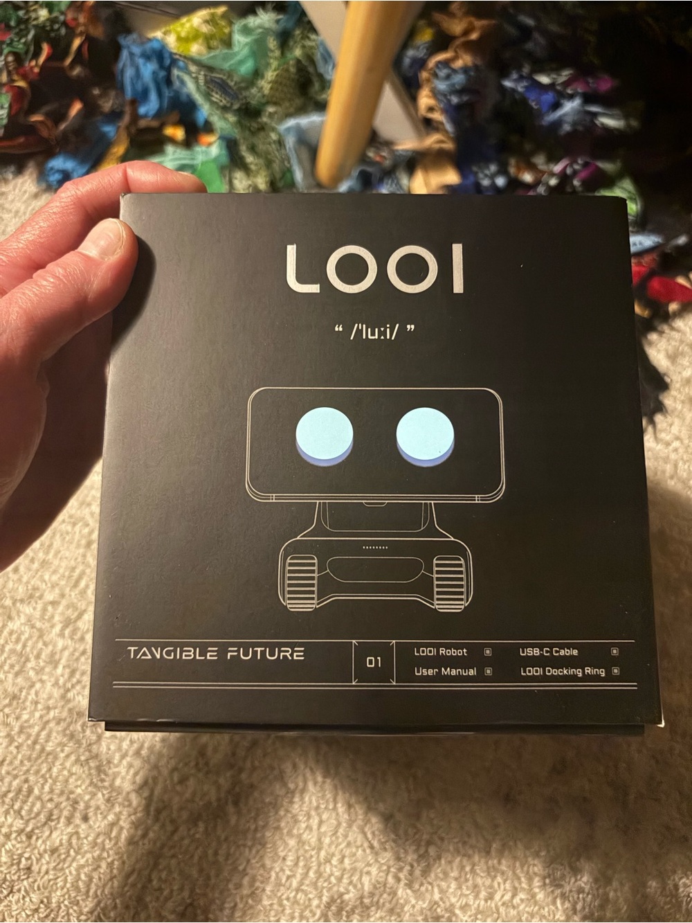 Looi Robot, Tangible Futures